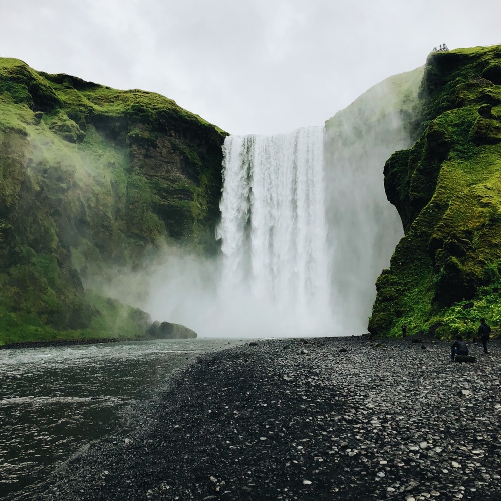 Meet your Posher, Lillian